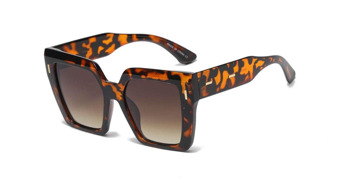 Reza - Dilly Dollar Optical -