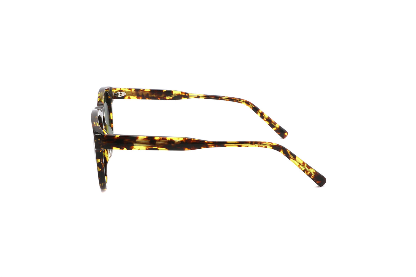 Calypso - Dilly Dollar Optical - Sunglasses