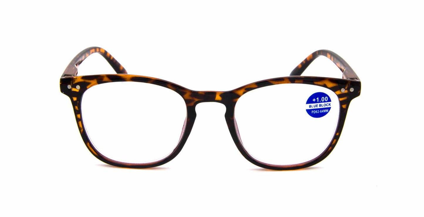 Debby - Dilly Dollar Optical -