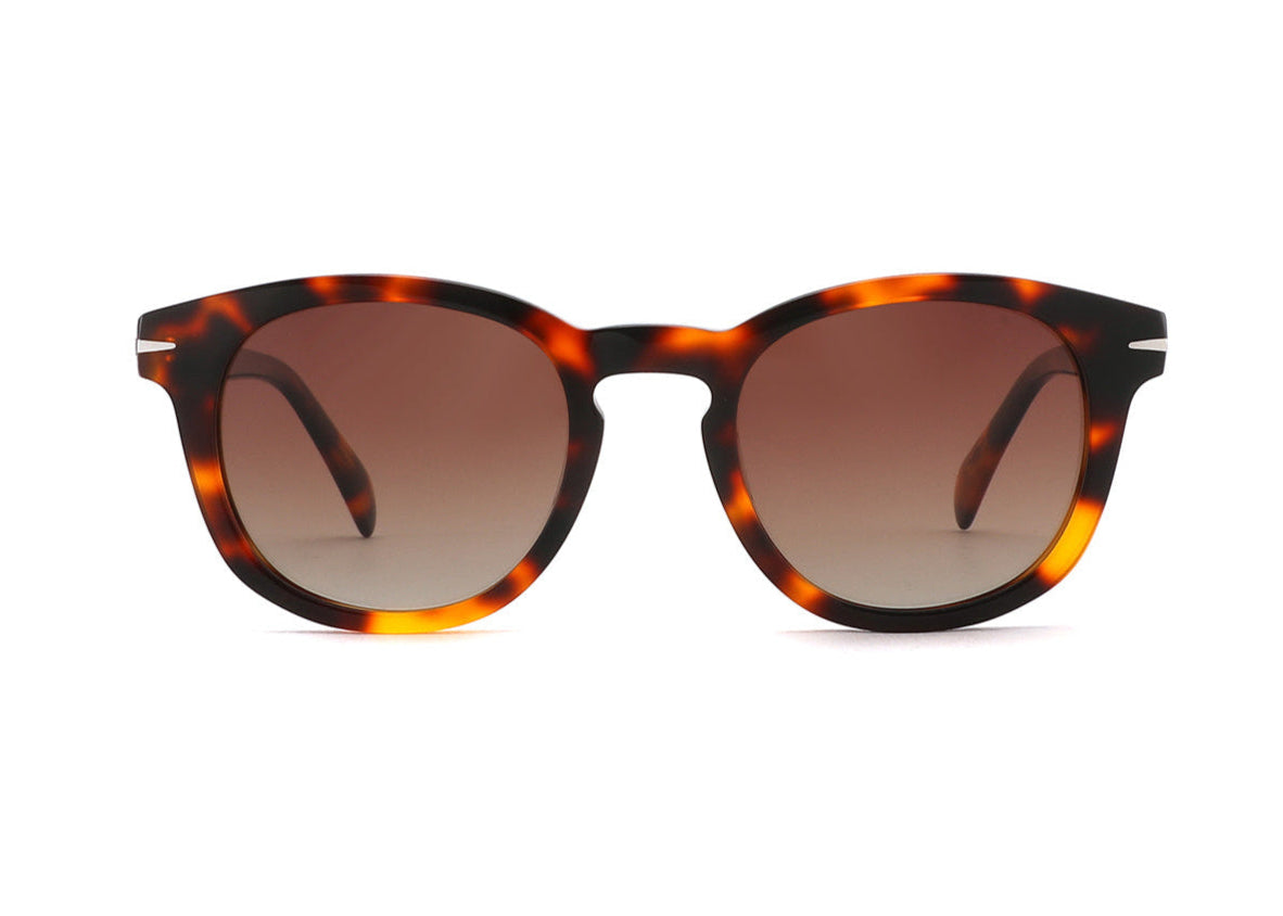 Amalie - Dilly Dollar Optical - Sunglasses